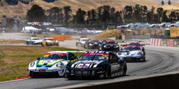 2026, HIGHLANDS, NEW ZEALAND , 
WORLD COPYRIGHT: TAYLER BURKE
_07A6781.CR3